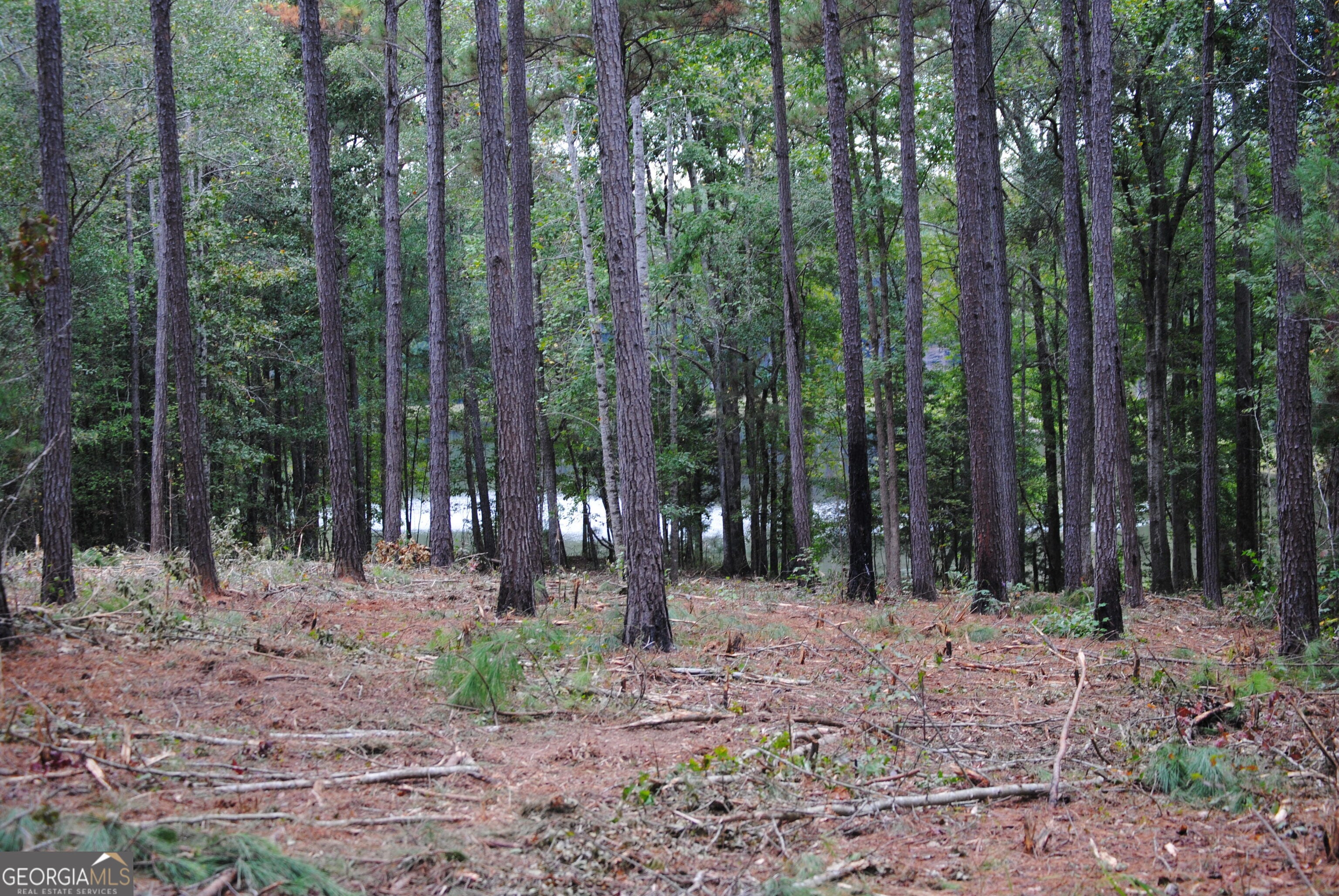 151 W Drummond Rd #8, West Point, GA 31833