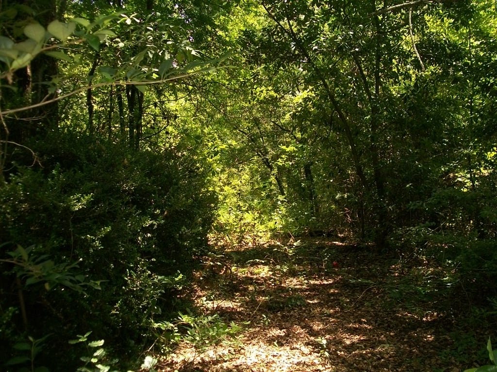 3704 Maryland Circle, Columbus, GA, 31907 — Photo 2