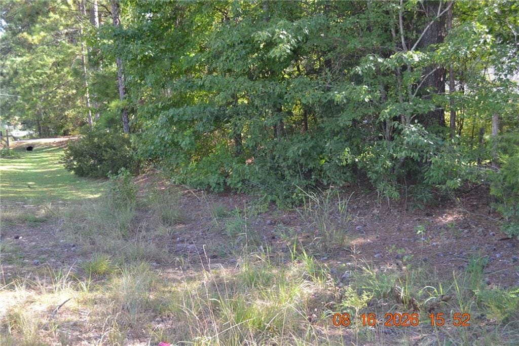 0 LEE ROAD 179, Salem, AL, 36874