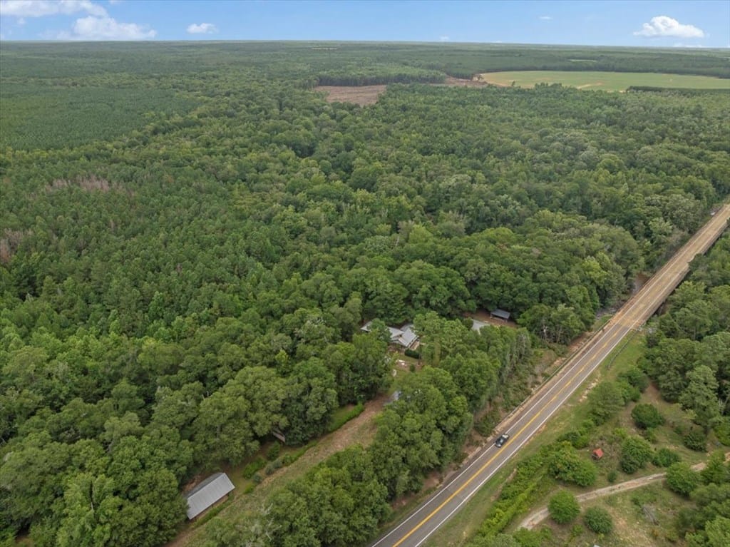 4031 Americus Highway, Dawson, GA, 30016 — Photo 3