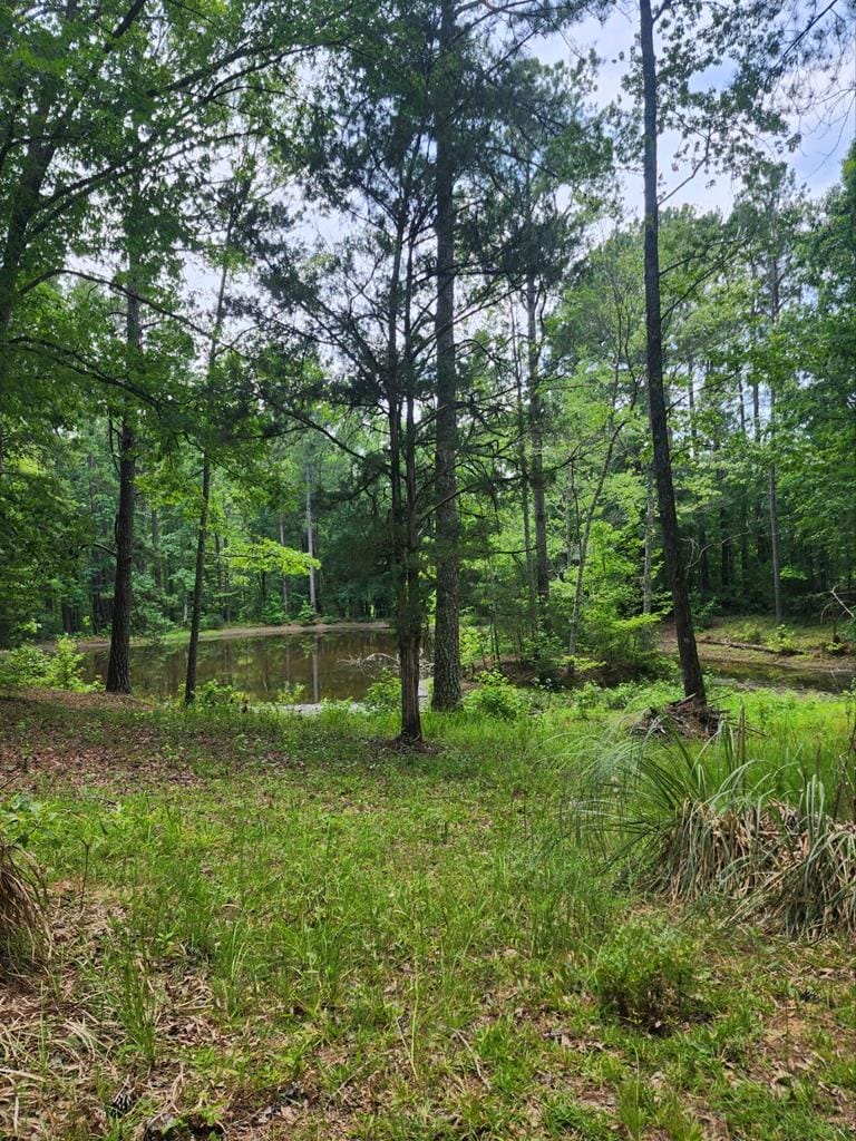 521 Taylor Road, Talbot, GA, 31831 — Photo 2