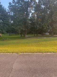 2613 Lonesome Road, Albany, GA, 31721