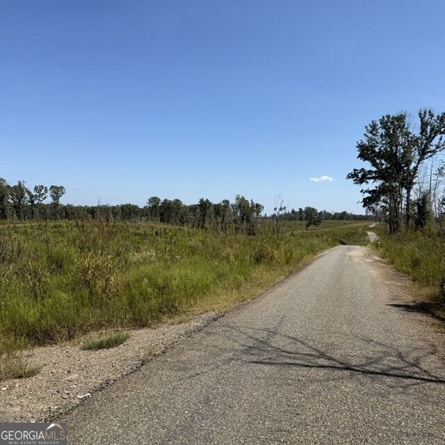 76 +/- ACRES ON Gibson, Talbotton, GA, 31827