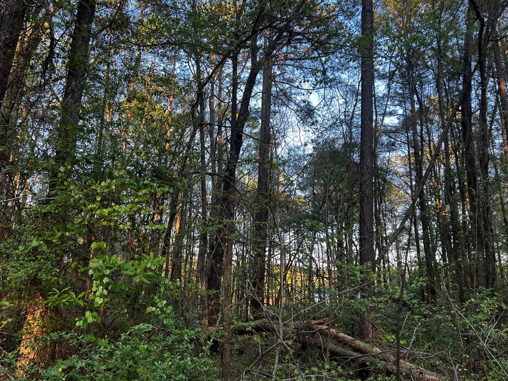 203 North View Pointe Drive, Lagrange, GA, 30241 — Photo 2