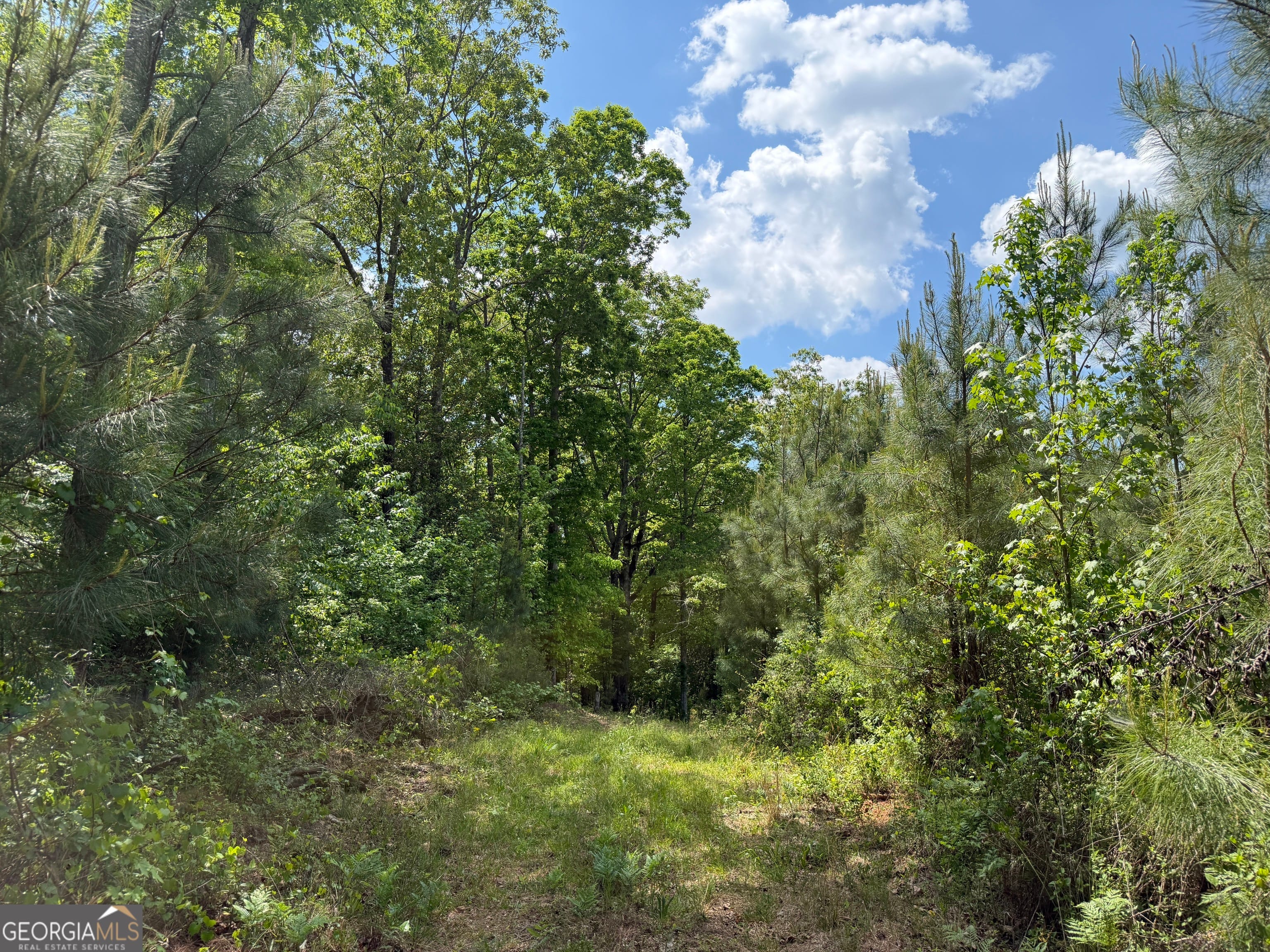 5 George Milling Road, Cuthbert, GA, 39840