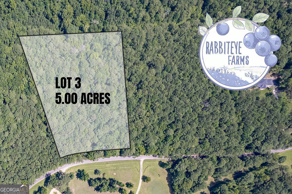 3 Haynes Rd, Moreland, GA 30259