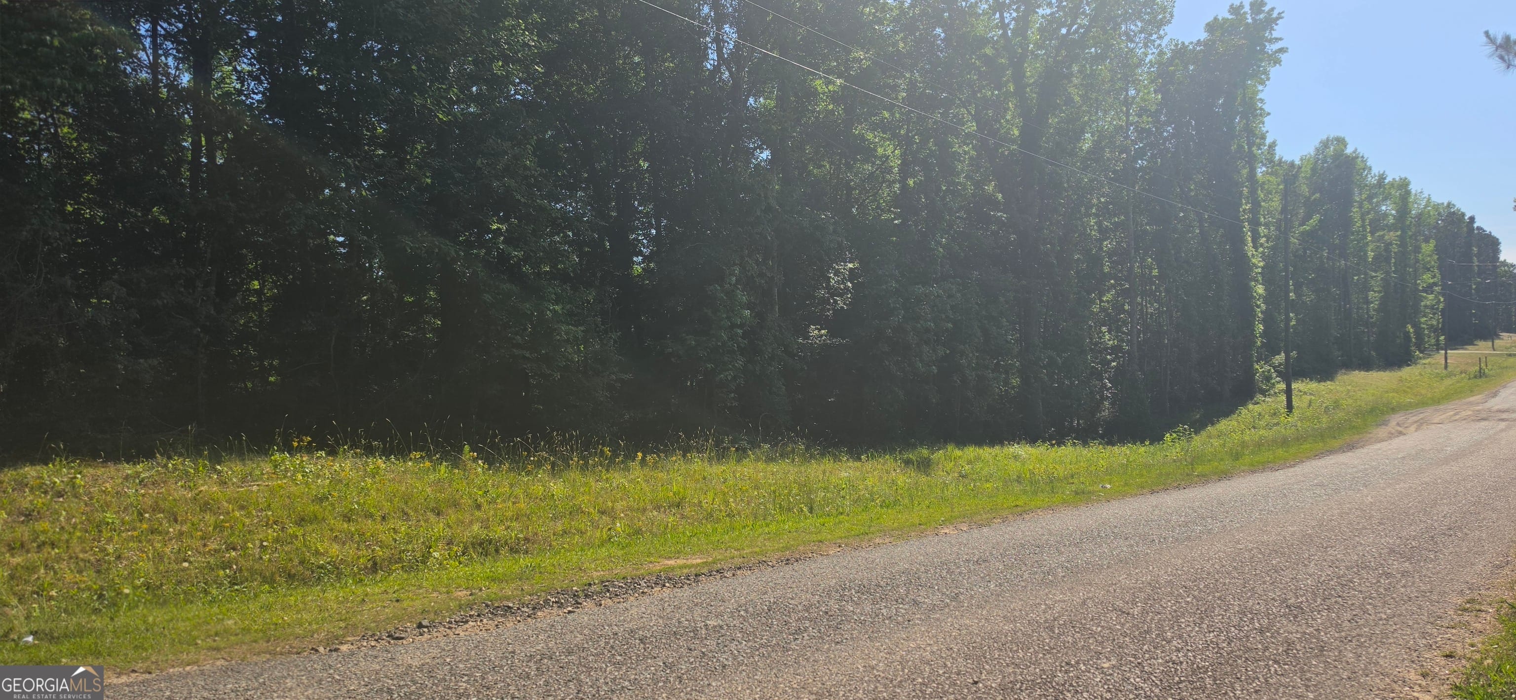 LOT 55 Groundhog, Greenville, GA, 30222
