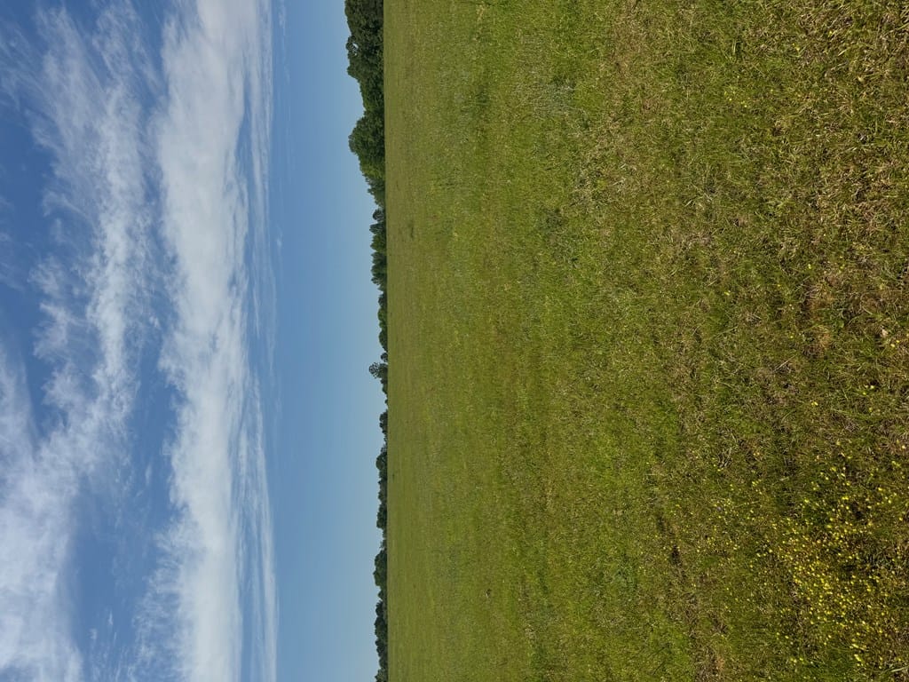 0 Valley Road, Lumpkin, GA, 31815 — Photo 2