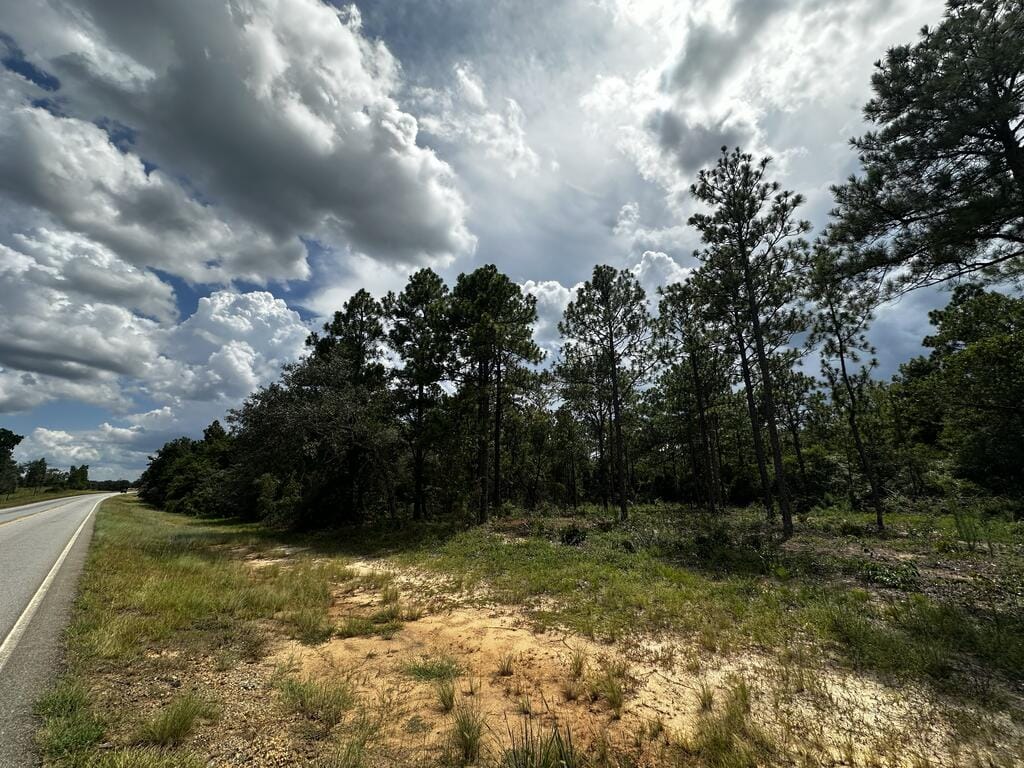 0 Highway 0041, Box Springs, GA, 31801