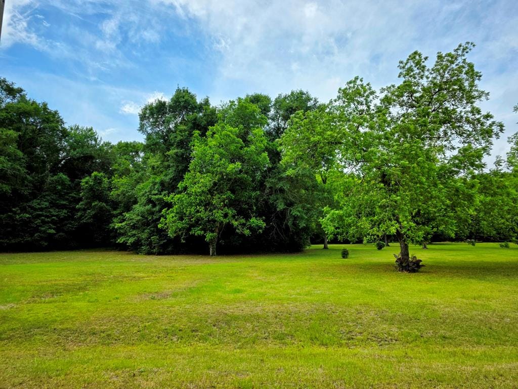 0 Williamsburg Road, Albany, GA, 31705