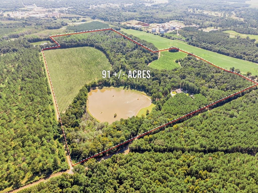 336 Metts Road, Dawson, GA, 39842 — Photo 2