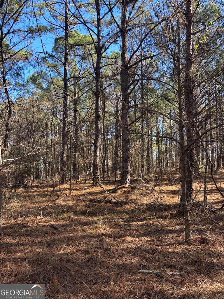 0 Geneva, Talbotton, GA, 31827