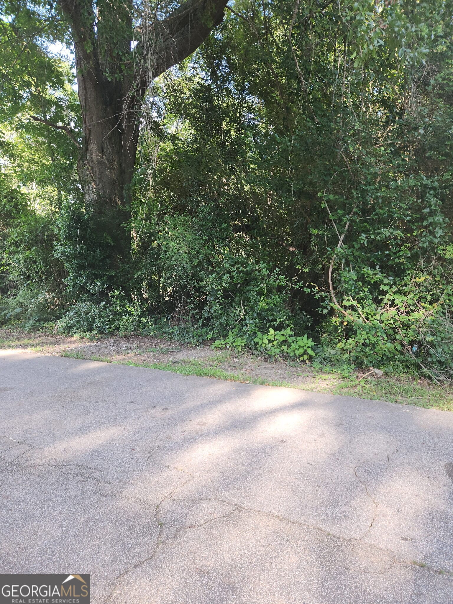 404 Poplar St, Hogansville, GA 30230