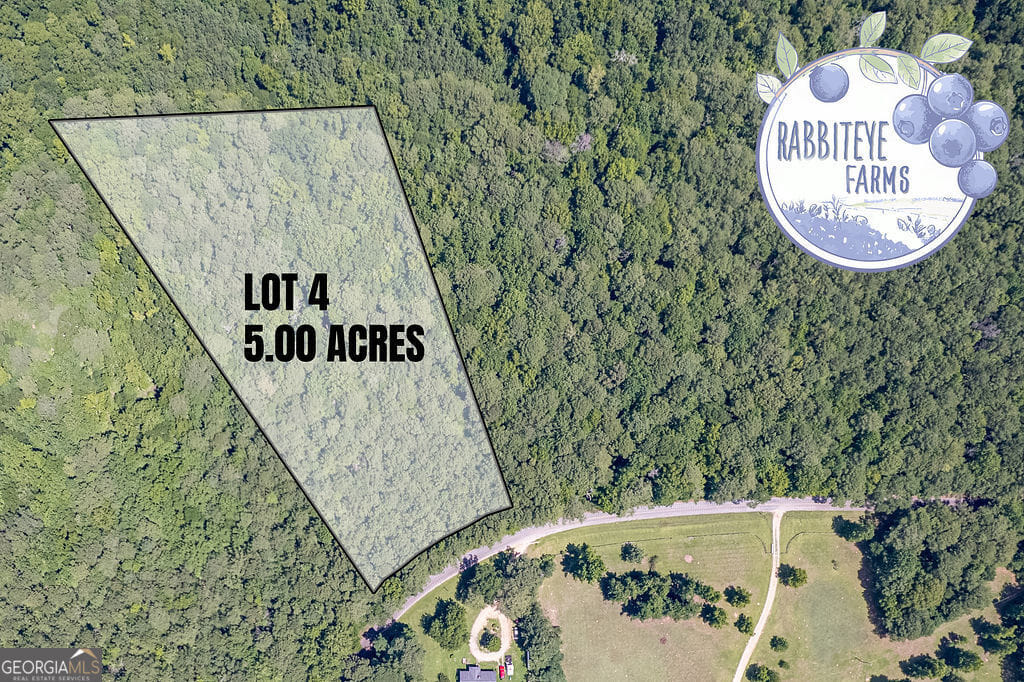 4 Haynes Rd, Moreland, GA 30259