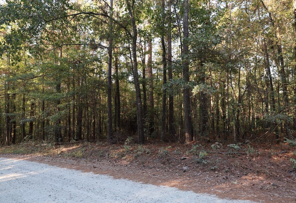 6823 Chaucer Ln, Box Springs, GA 31801