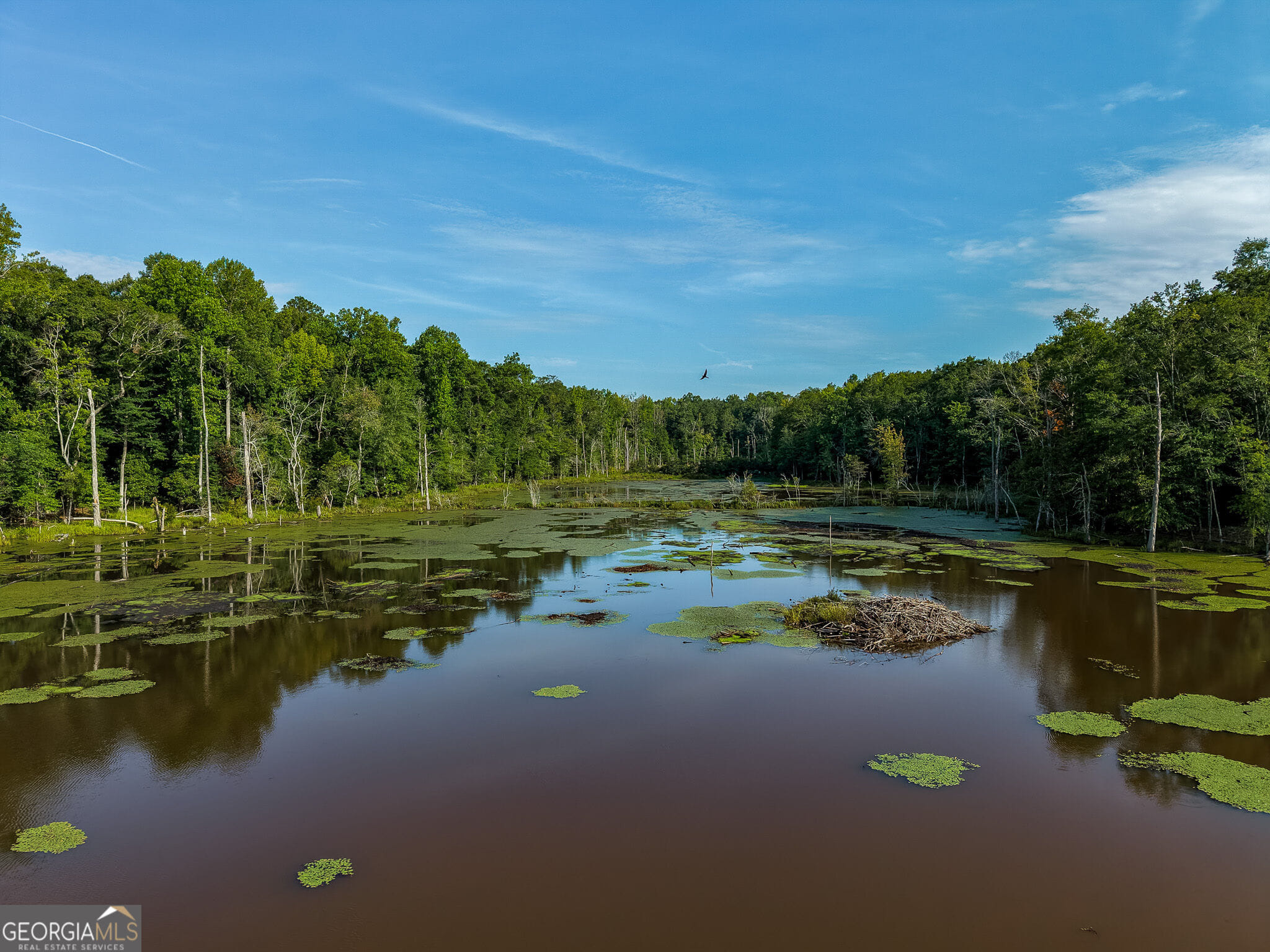 1709 Poplar Ridge, Ellaville, GA, 31806