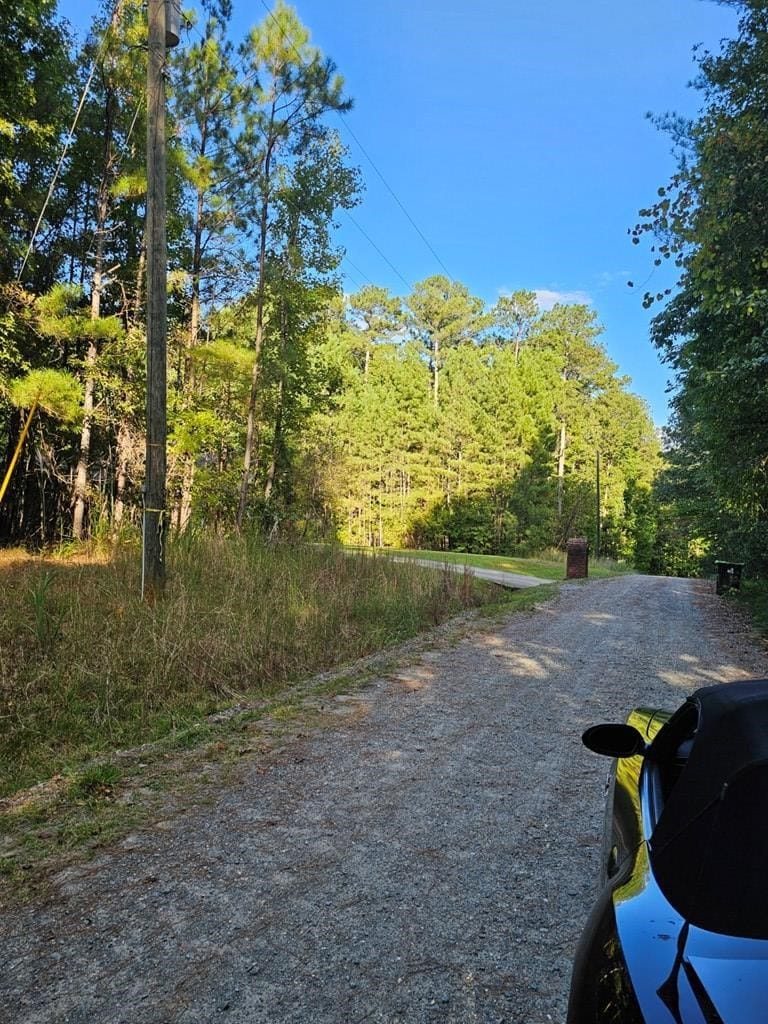 BLK 14 LOT 6 Quince Court, Waverly Hall, GA, 31831
