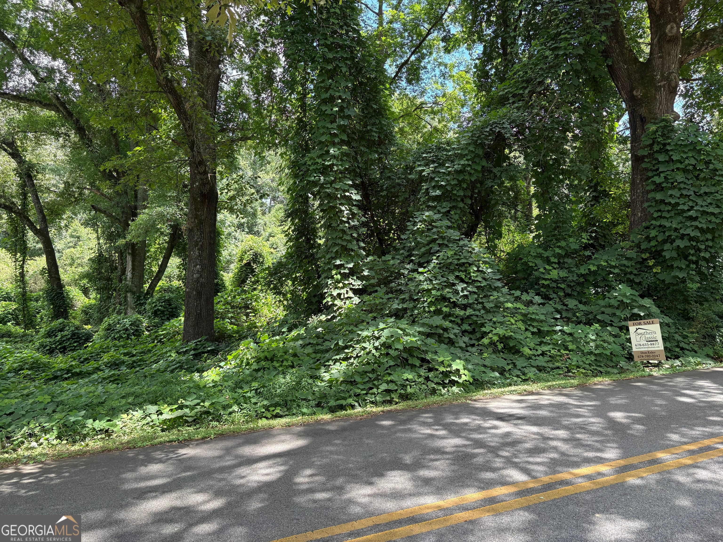 0 Pine St, Hogansville, GA 30230