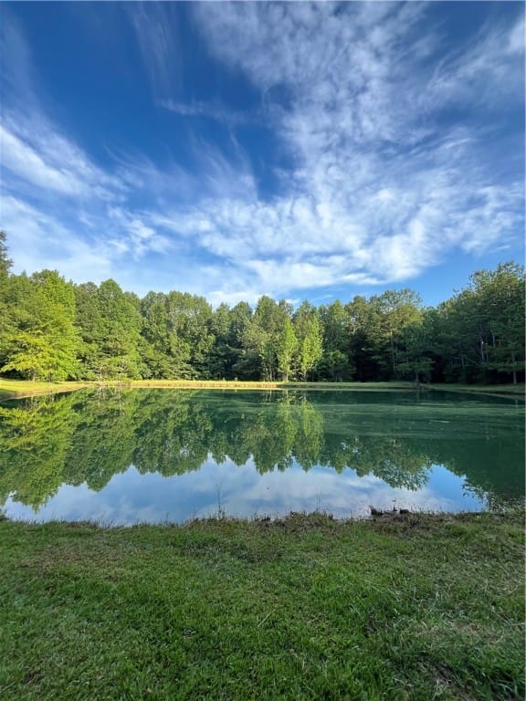 0 COUNTRY CLUB, Roanoke, AL, 36274