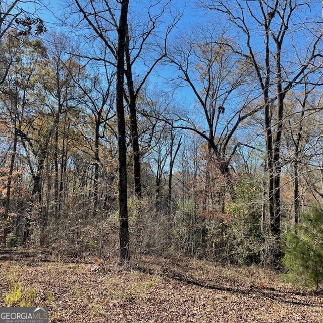 50+/- ACRES Pineville, Buena Vista, GA, 31803