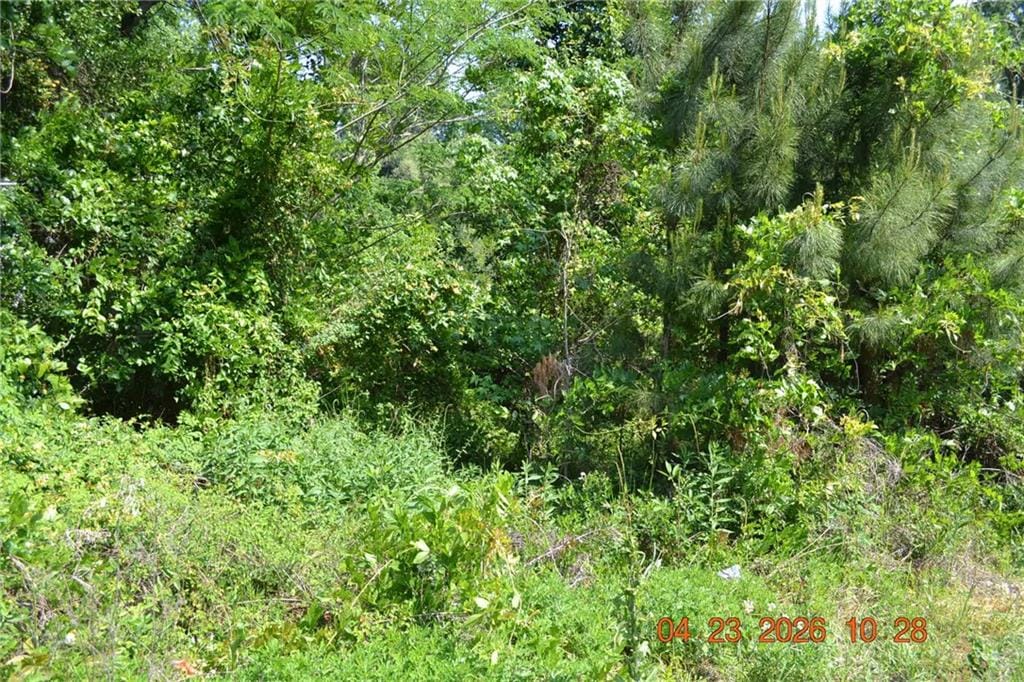 0 Sandfort Rd and 3rd St. South, Phenix City, AL, 36867 — Photo 2