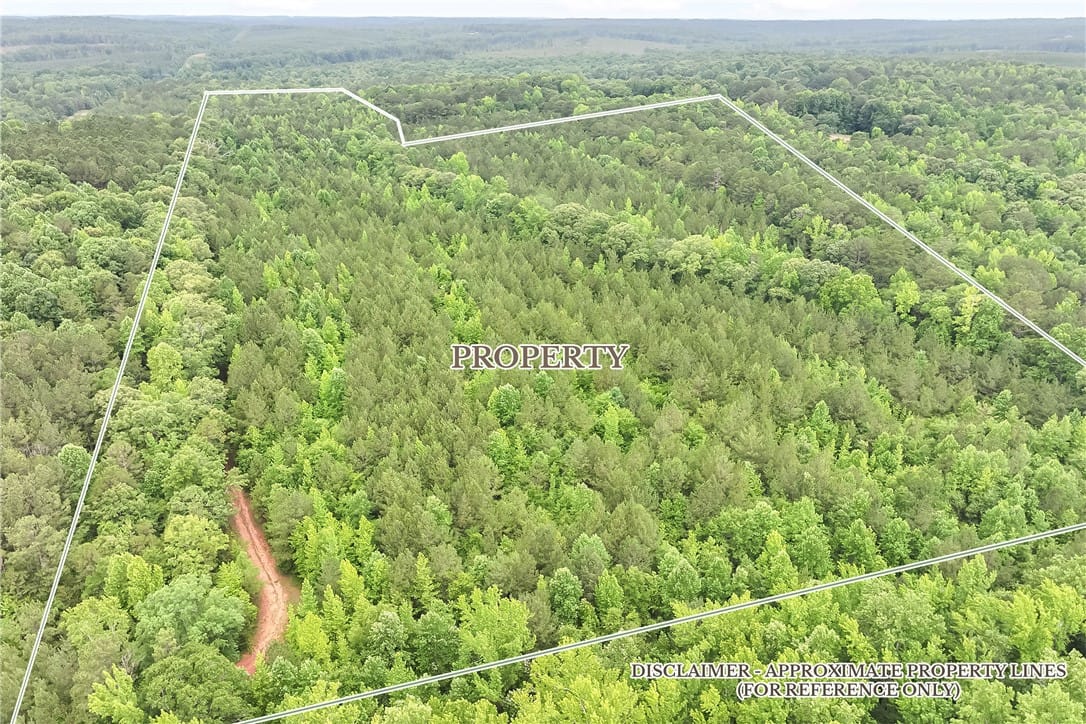 0 Lee Road 70, Camp Hill, AL 36850, USA, Vast, verdant forest acreage awaits your private e