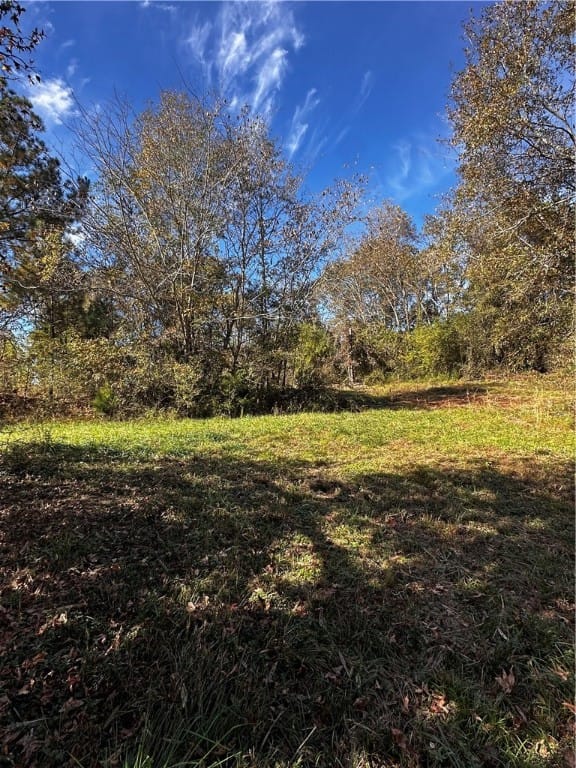 1283 County Road 213, Lanett, AL, 36863 — Photo 3