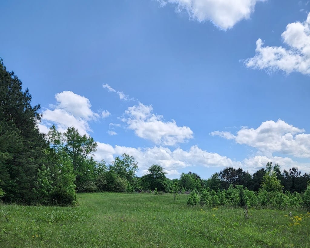 0 L Street, Pine Mountain Valley, GA, 31823 — Photo 3