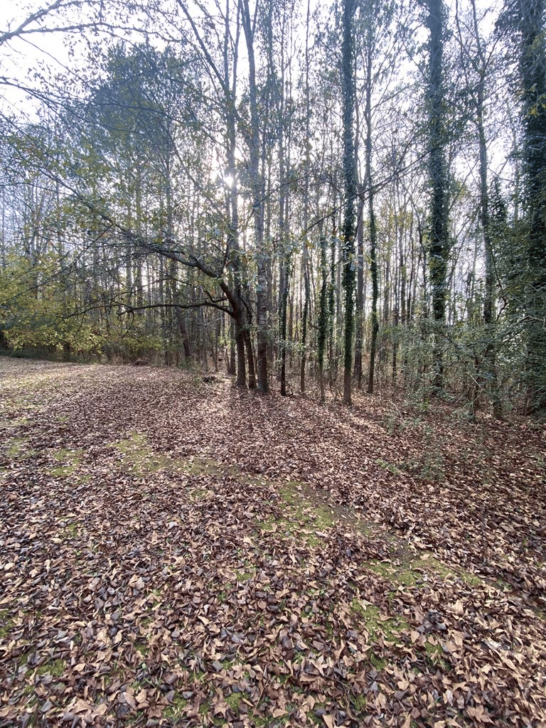 81 Woodland Dr, Cataula, GA 31804