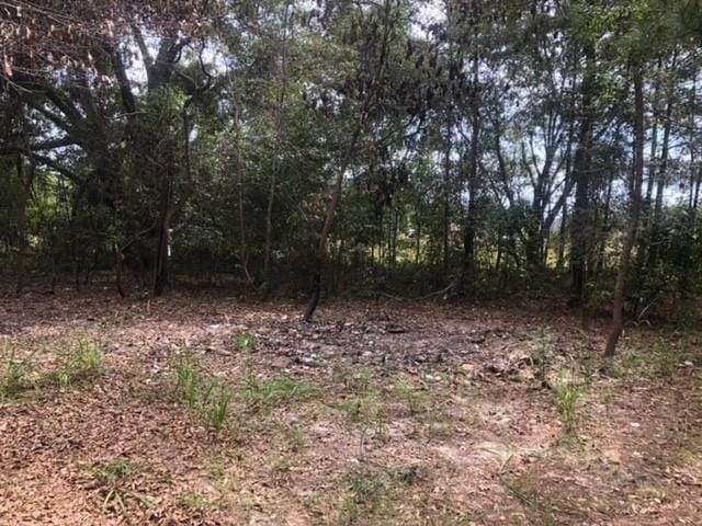 19 Epps, Seale, AL, 36875 — Photo 3