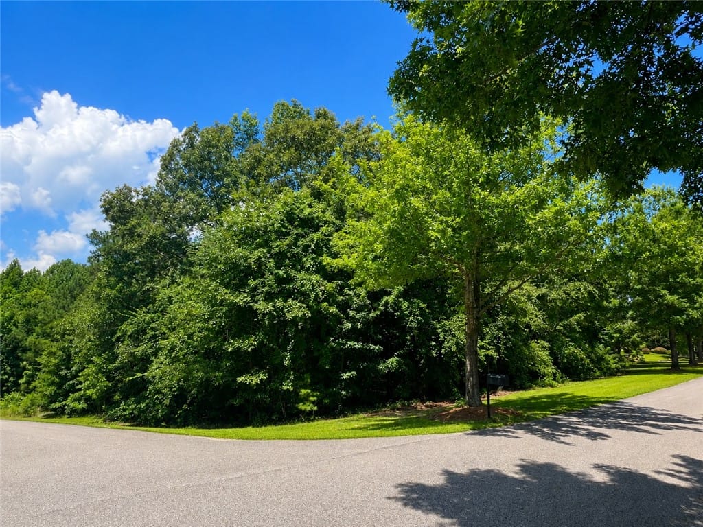 17 Lee Road 2159, Opelika, AL 36804, Mature hardwood trees