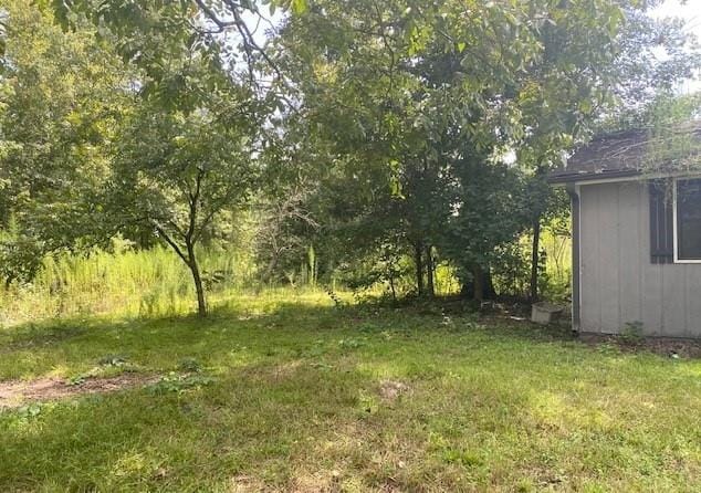 3120 Lee Rd 240, Salem, AL, 36874 — Photo 3