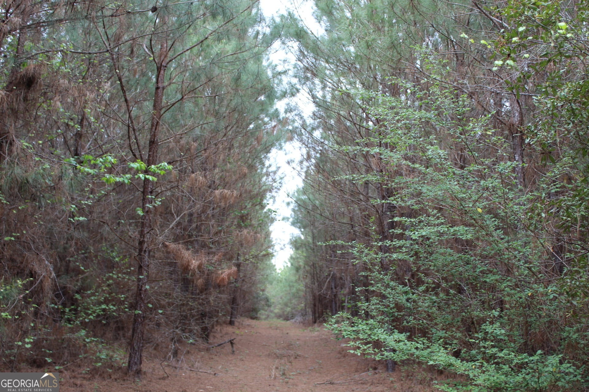 95 +/- AC Sales, Mauk, GA, 31058