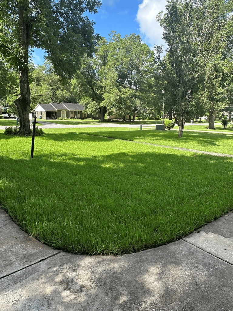 821 Community Ave, Albany, GA, 31705 — Photo 3