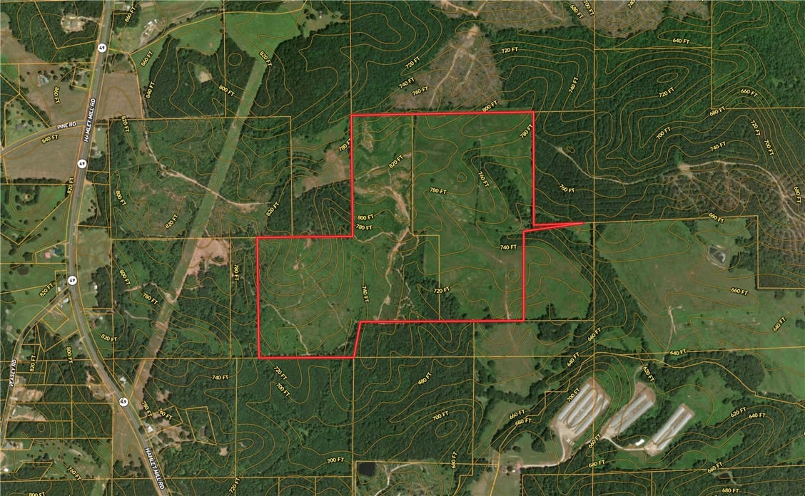 0 HAMLET MILL, Daviston, AL, 36256, This overhead map highlights a large plot of land,