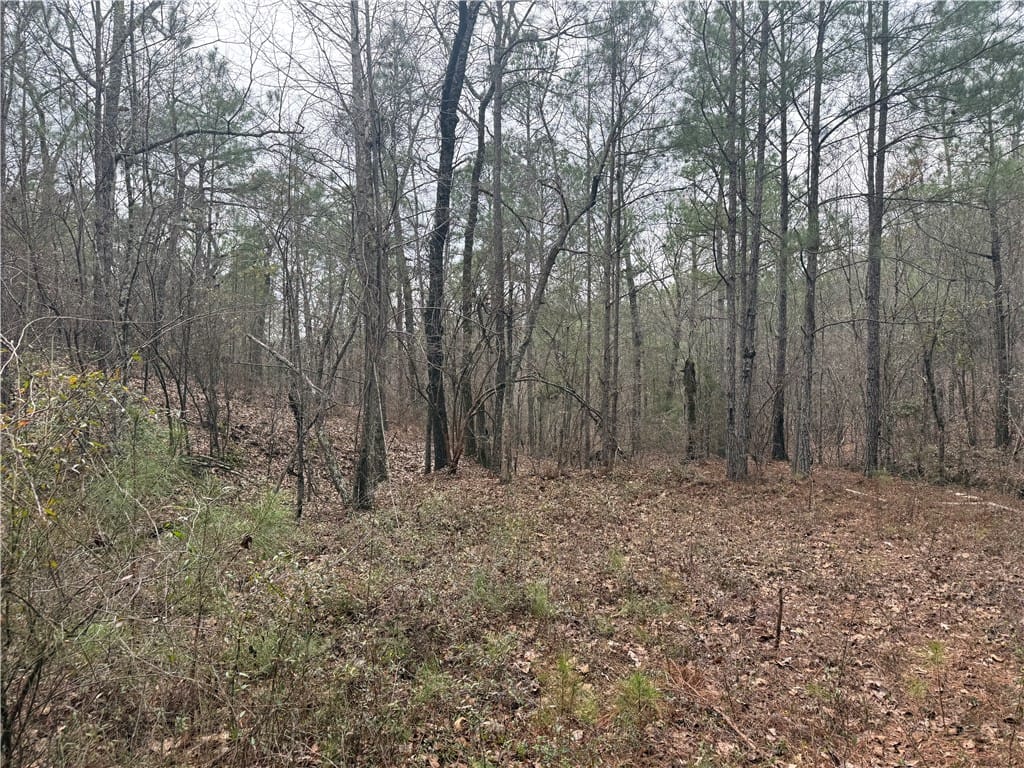 Address Not Disclosed, Verbena, AL, 36091