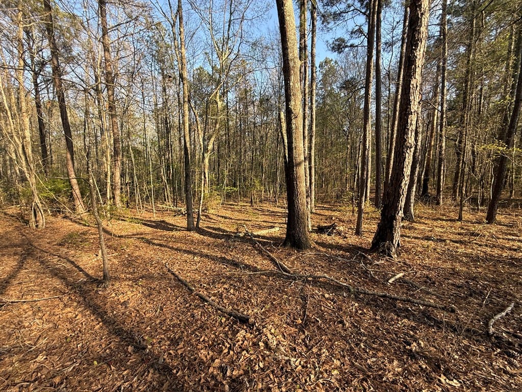 0 Oak Mountain Rd, Waverly Hall, GA 31831, USA — Photo 3