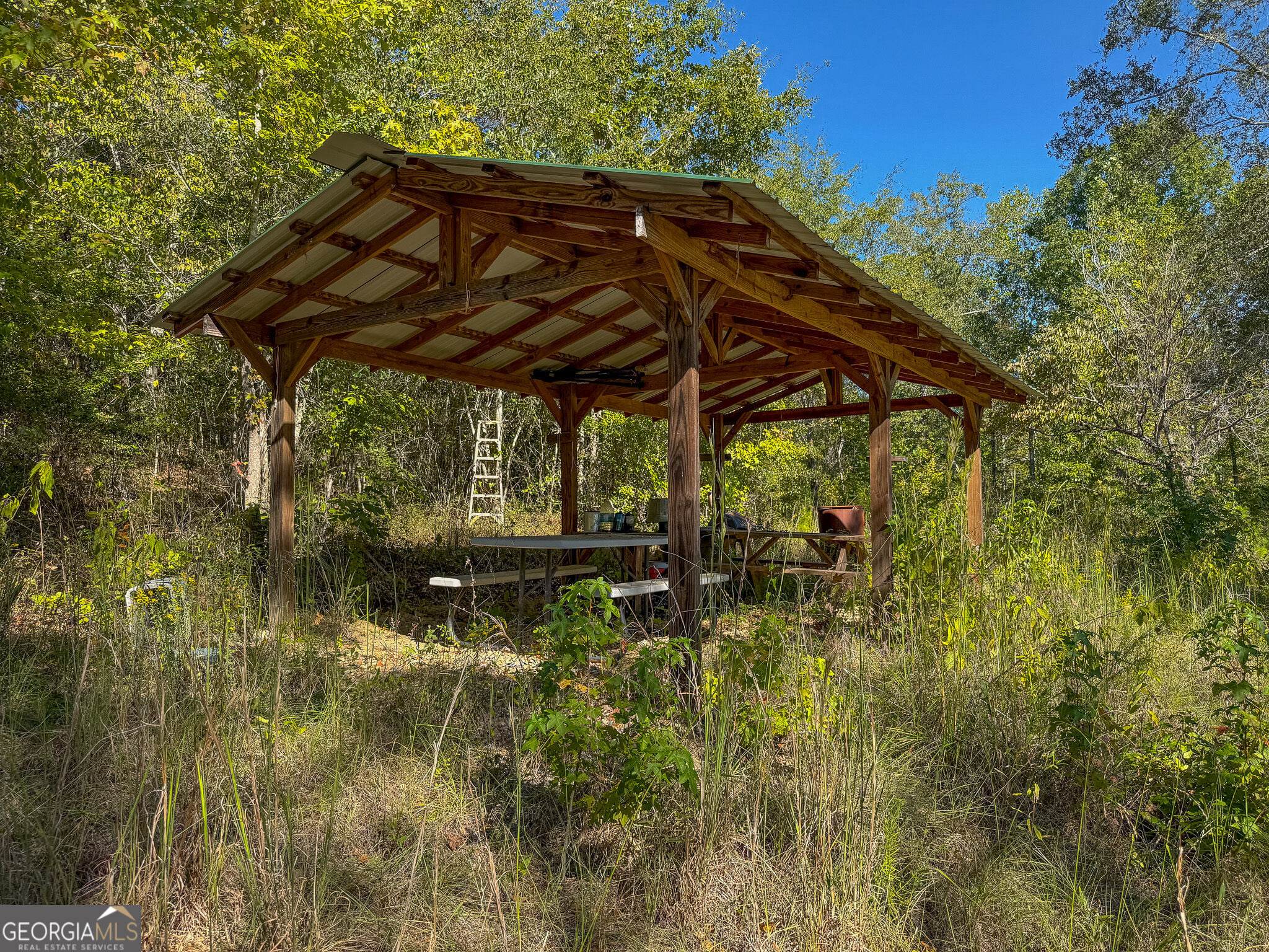 1216 Buddy Boy Thornton Rd, Richland, GA 31825