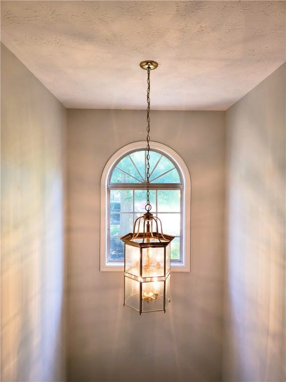 291 CHINABERRY, Auburn, AL, 36832 — Photo 3