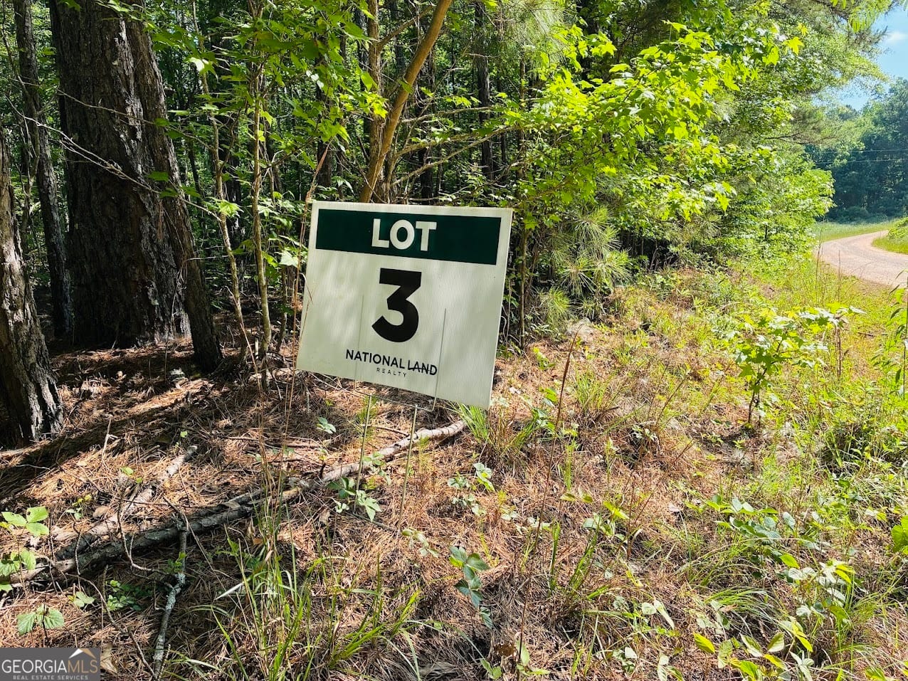 0 Creek #lot 3, Ashland, AL, 36251