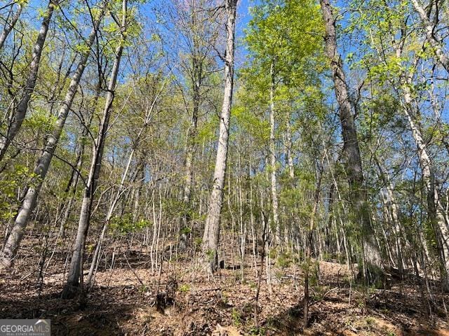2 Grandview Drive, Hayesville, NC, 28904