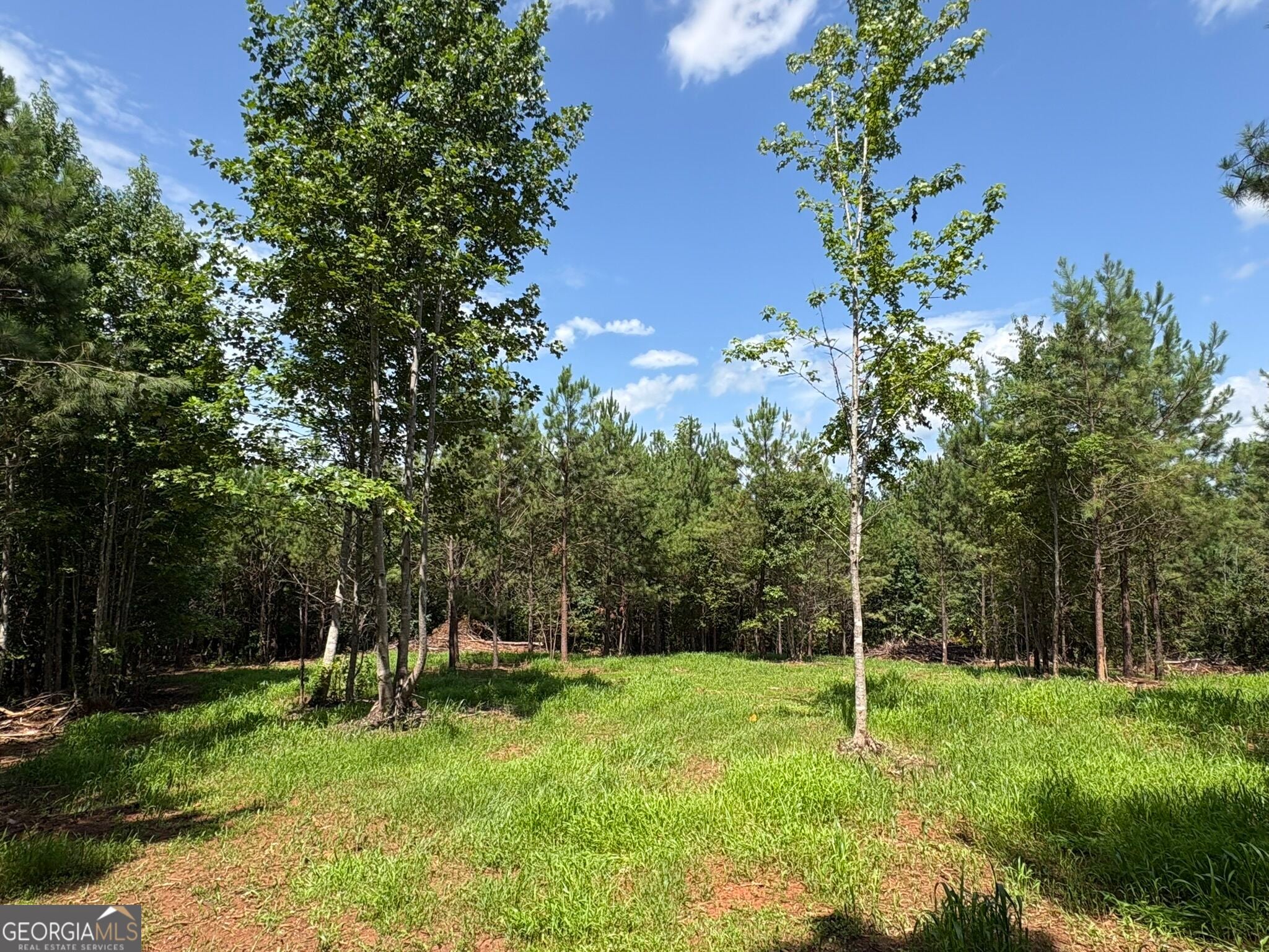 15.62 ACRES Carlisle Gap, Woodland, GA, 31836