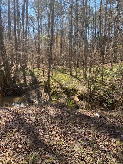 001 Leisure Circle, Pine Mountain, GA, 31822