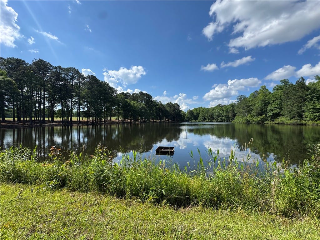 1020 HANSON FARMS, Auburn, AL, 36830, A tranquil lake view unfolds with lush trees refle