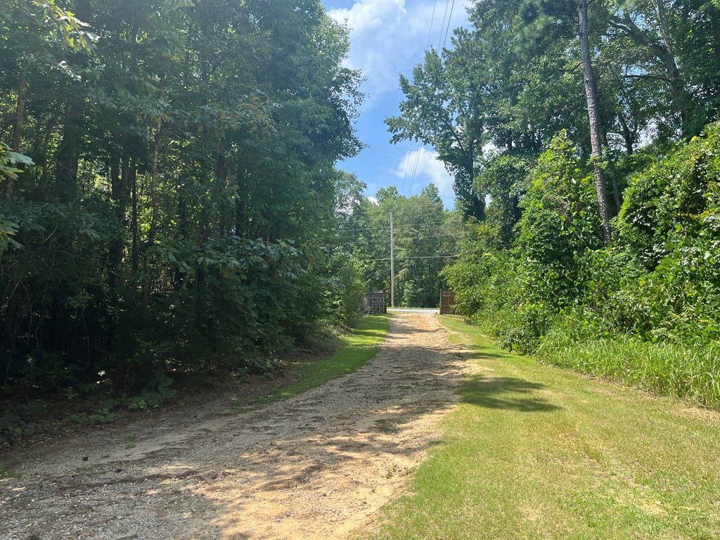 767 Highway 0169, Seale, AL, 36875 — Photo 2