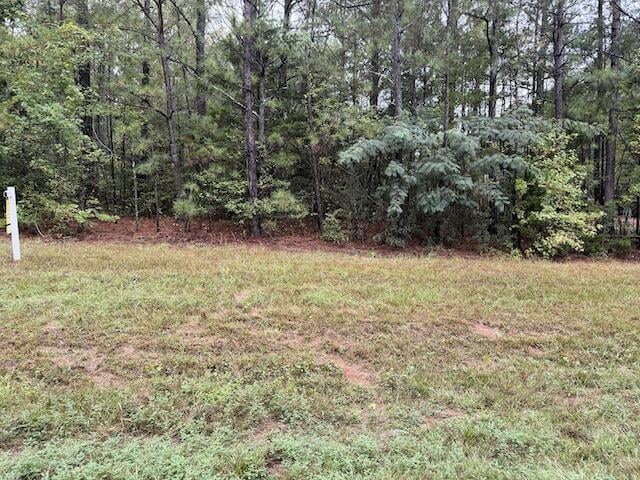 0 Chipley Highway, Pine Mountain, GA, 31822