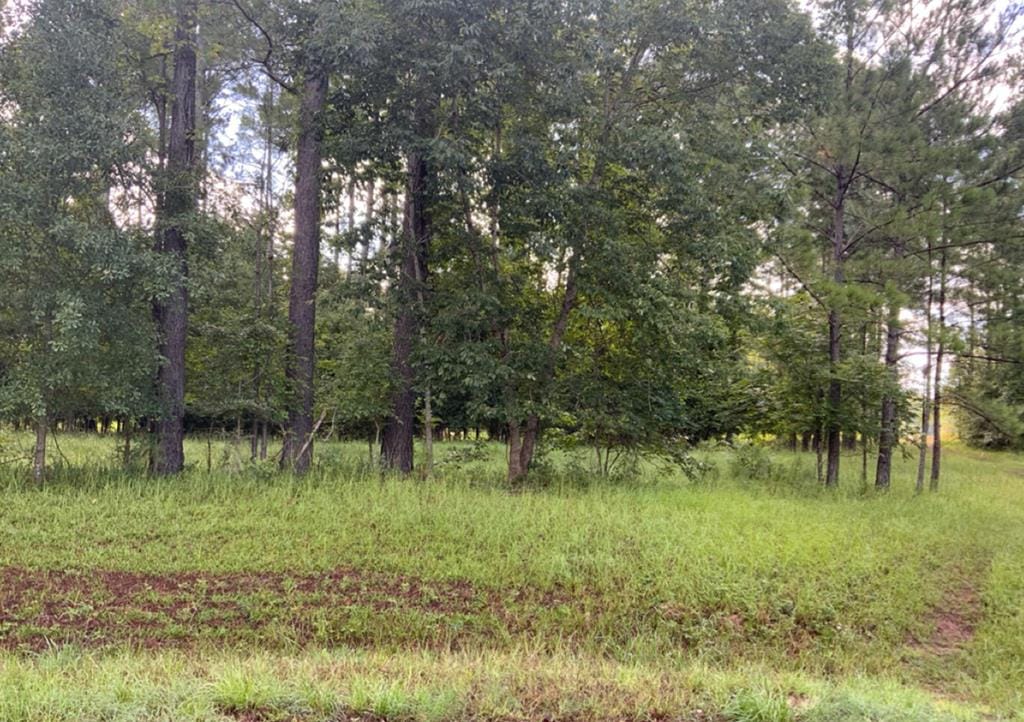 5601 Oak Borough Lane, Albany, GA, 31721