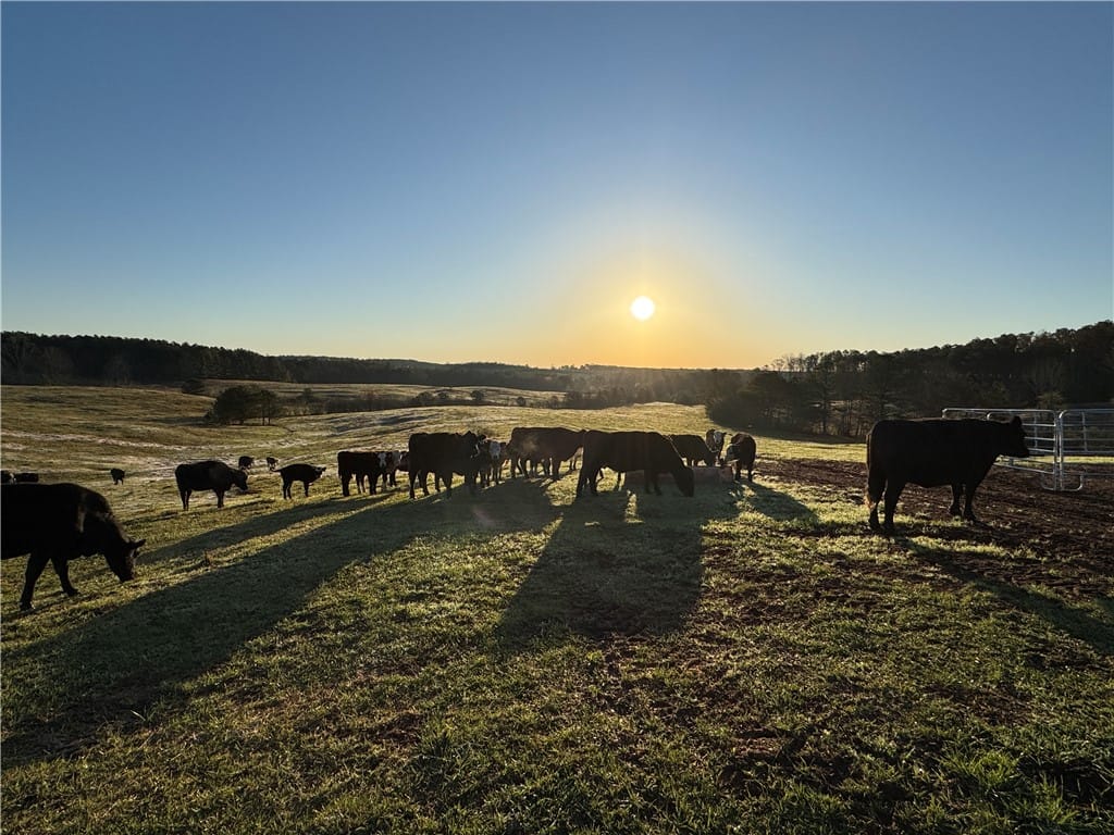 1160 AL HIGHWAY 77, Roanoke, AL, 36274