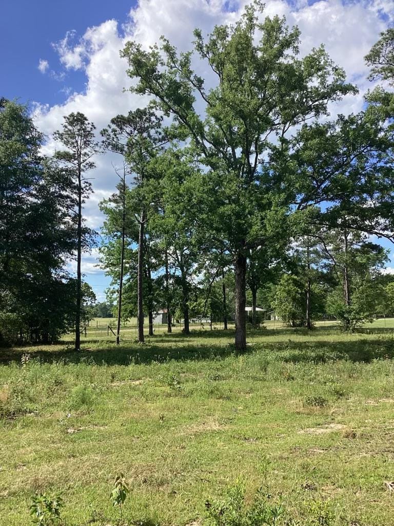 291 Young Road, Box Springs, GA, 31801