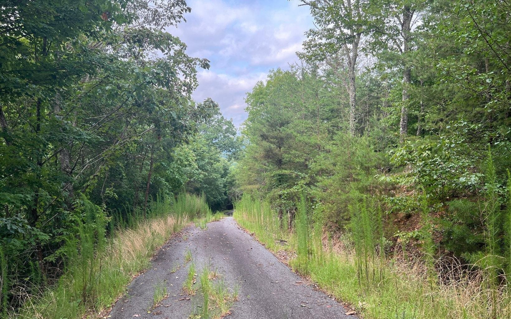 LOT 8 Preserve At Beach Mountain, Brasstown, NC, 28902